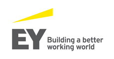 Công ty TNHH Ernst & Young Việt Nam